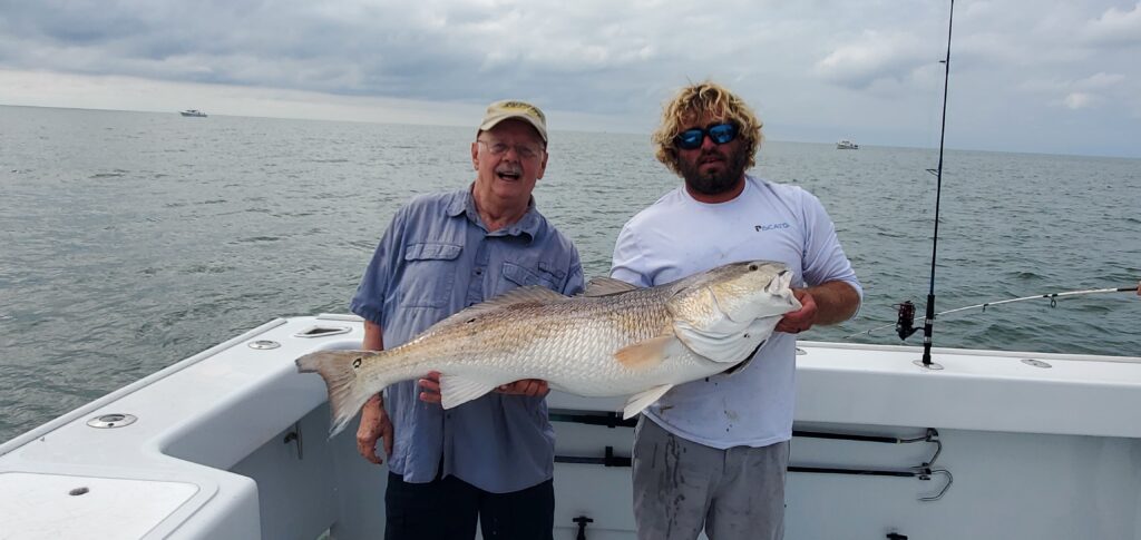 Red Drum – Midnight Sun Fishing Charters